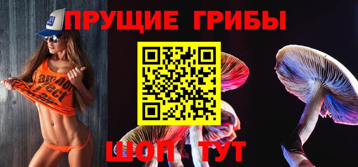 продажа наркотиков  Псилоцибиновые грибы MAGIC MUSHROOMS  Вход с VPN  Вязьма 
