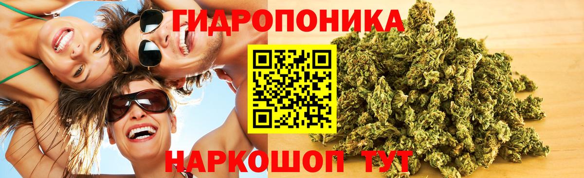 Марихуана гибрид Вязьма